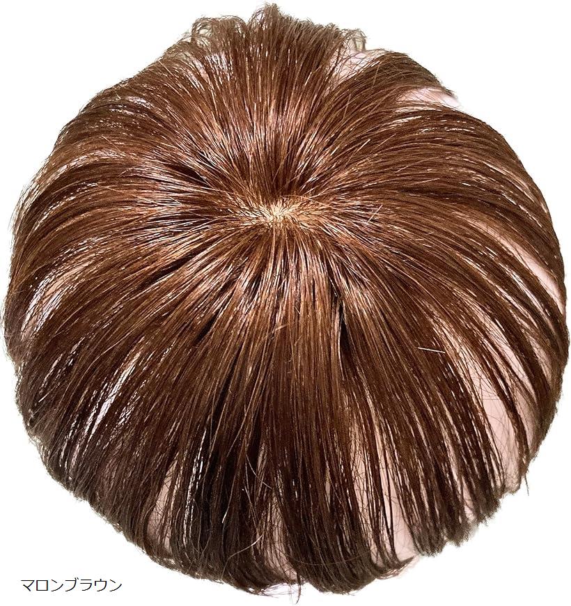 楽天市場】ヘアピース 人毛 部分ウィッグ かつら 男性 女性 カツラ