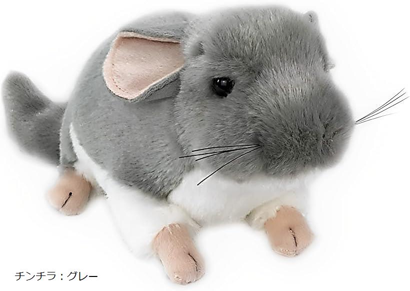 楽天市場】ぬいぐるみ プレゼント 小動物 かわいい 子供 チンチラ