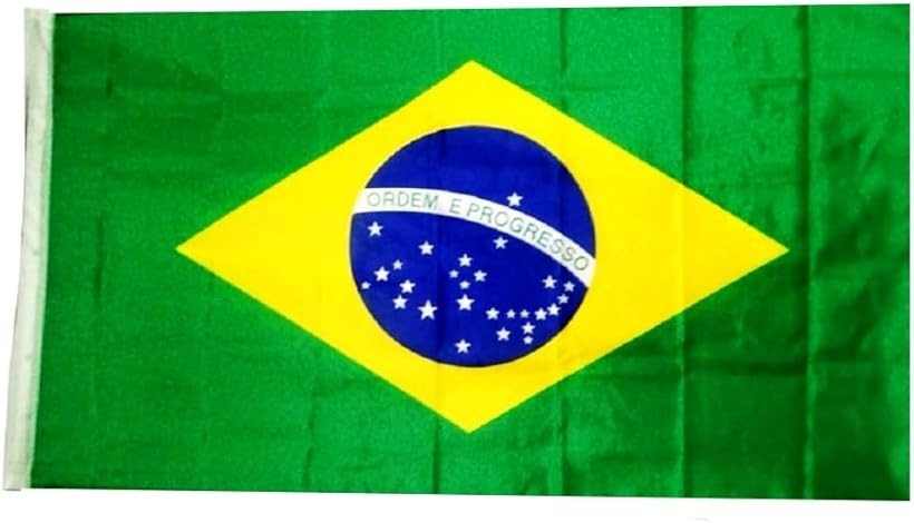 楽天市場】[数量限定!400円OFFクーポン]ブラジル Brazil オーダー 国旗