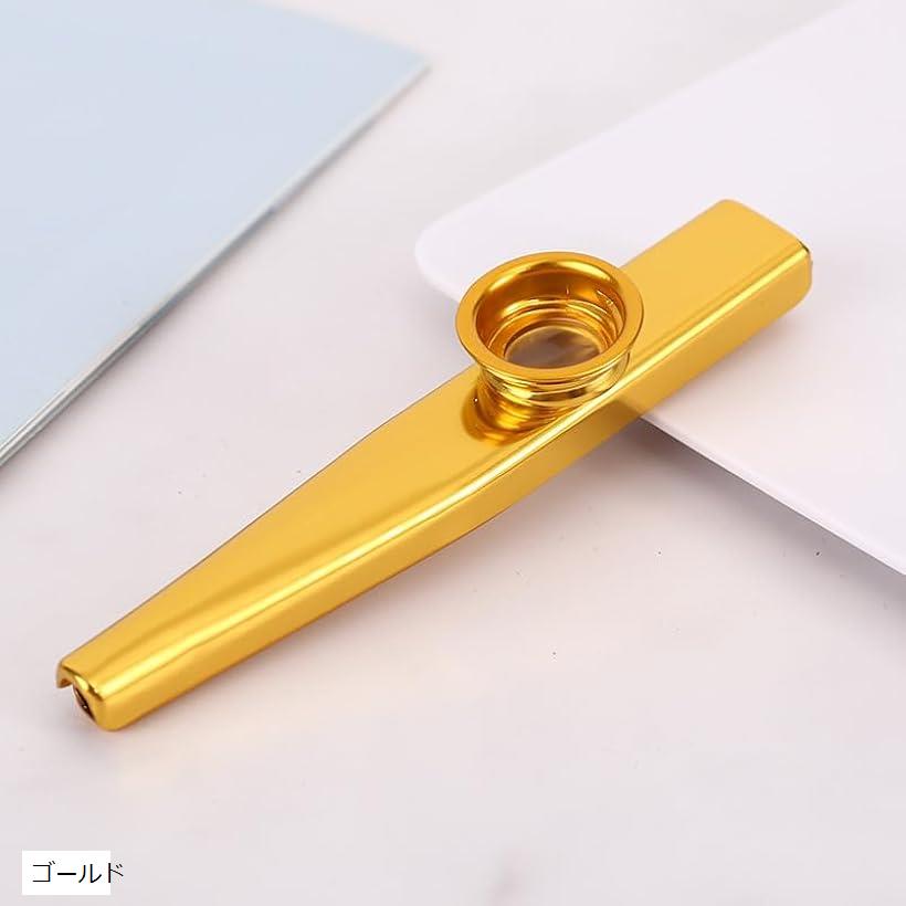 楽天市場】カズー 楽器 kazoo ティンホイッスル フルート 哑铃