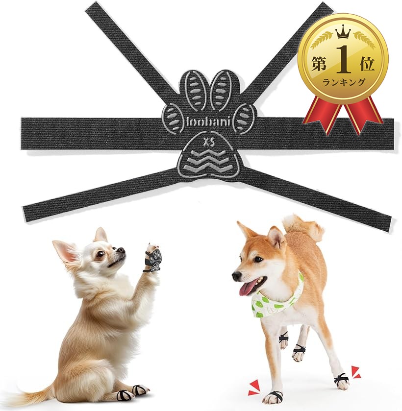 犬 シール 2bjpqt2ro9_0.jpg