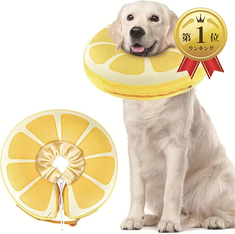 楽天市場】【楽天ランキング1位入賞】エリザベスカラー 大型犬 中型犬