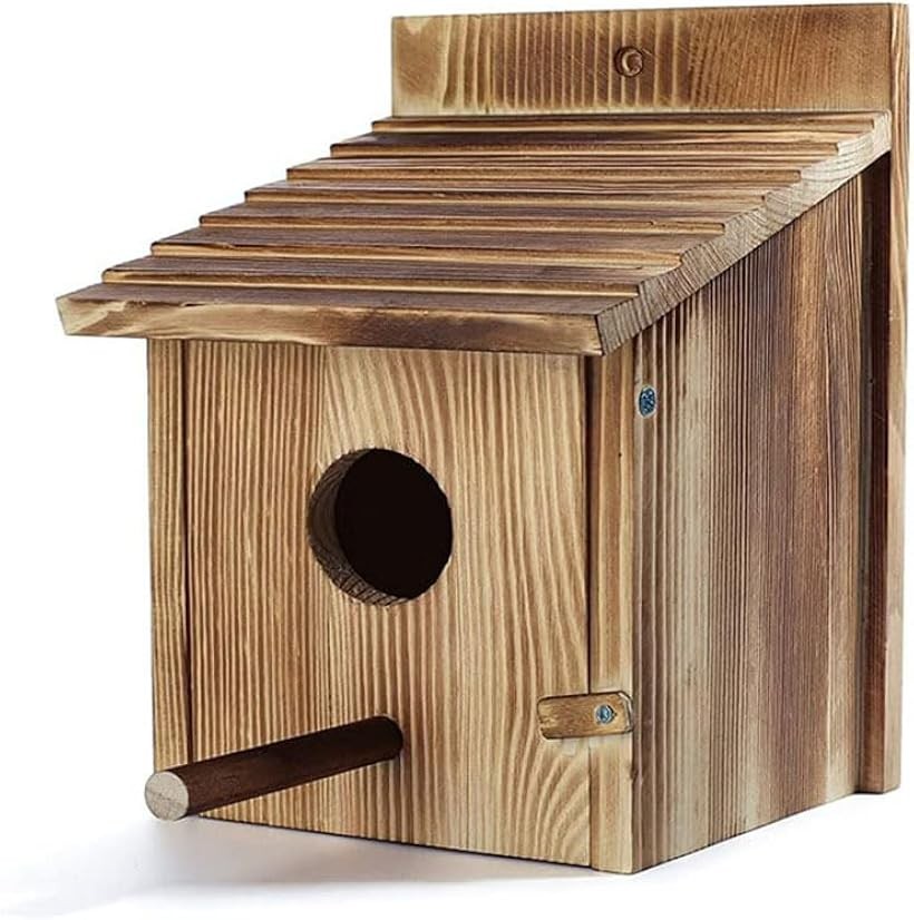 楽天市場】小鳥の巣箱NIDO EXTRA LARGE フック付ケージに掛けるだけの