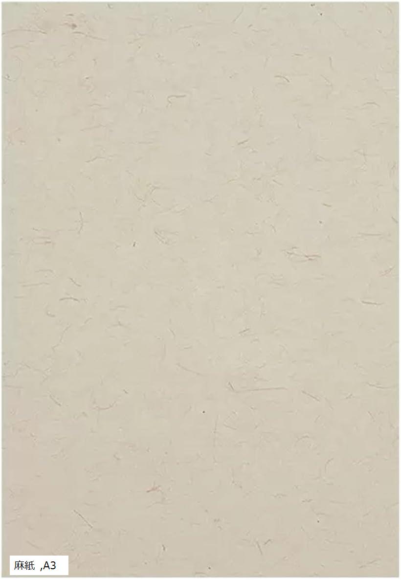 楽天市場】色紙 10枚入 寄せ書き 用紙 サイン色紙 アンティーク 麻紙