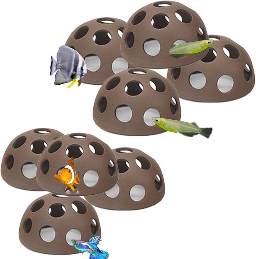 水槽やポンプ　ヌマエビ　メダカ　水草 水草水槽のヤマトヌマエビが動かない時の原因と解決法 ADA