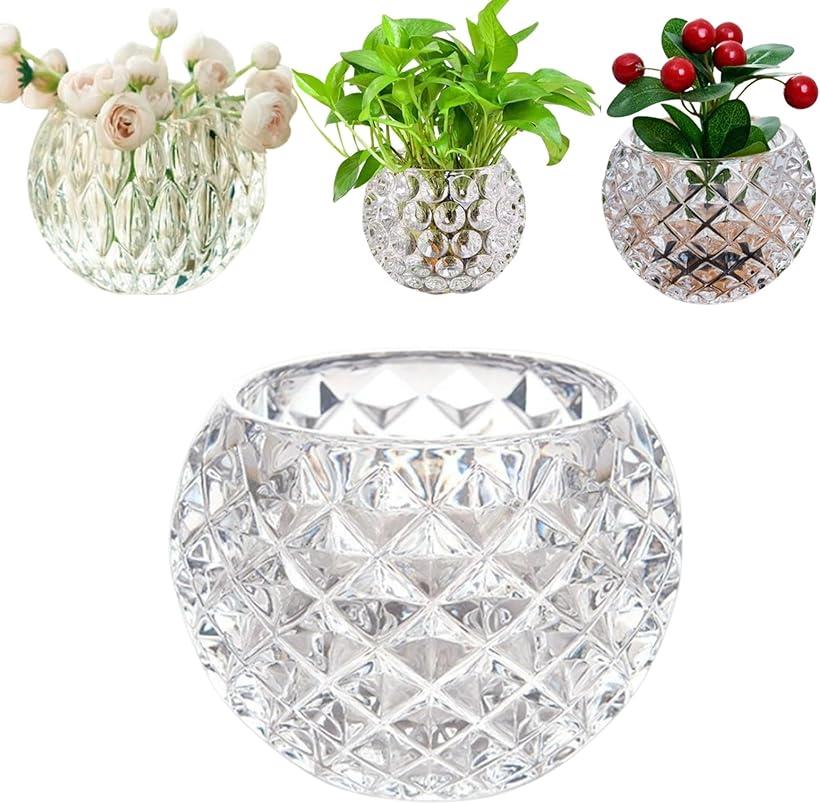 ITALY 変形ガラス フラワーベース 金魚鉢 インテリア ガラス Amazon.co.jp: GULAYIガラス 花瓶 フラワーベース金魚鉢