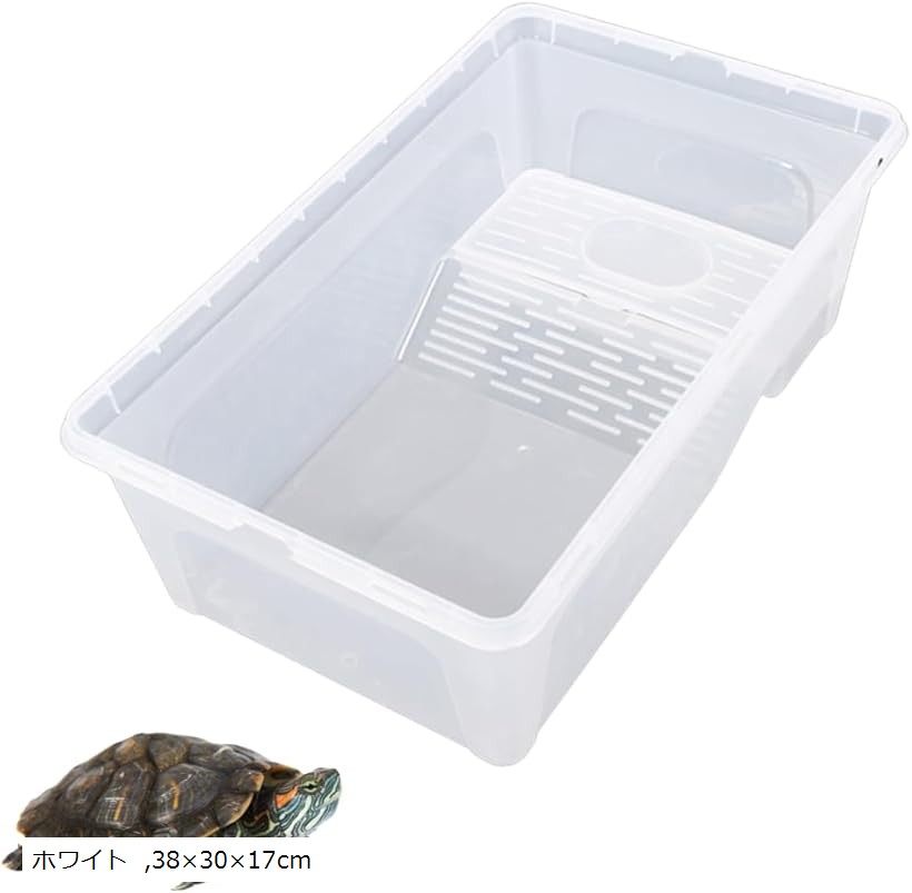 ♯Kti24CZカメのケース全7種コインケース亀の甲羅クリアグリーン♂奇譚