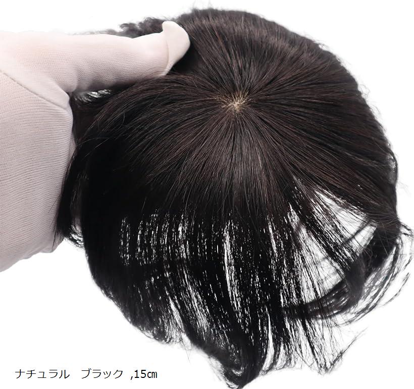 楽天市場】ヘアピース 部分ウィッグ 人毛 100% かつら 女性 ポイント