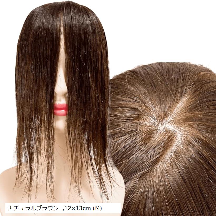 部分ウィッグ 前髪未カット センター分け 真ん中分け ヘアピース かつら 女性 レディース 人毛100% ストレート 分け目 シルク セミロング ナチュラルウィッグ 30cm 12x13cm (ナチュラルブラウン, 12x13cm (M))｜ホリック