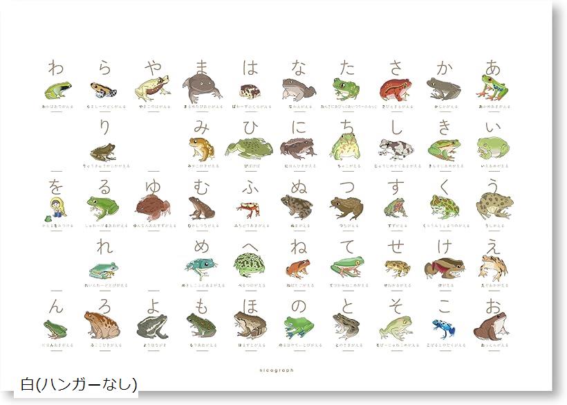 楽天市場】カエルのあいうえお 蛙のひらがな表 マグネットハンガーなし