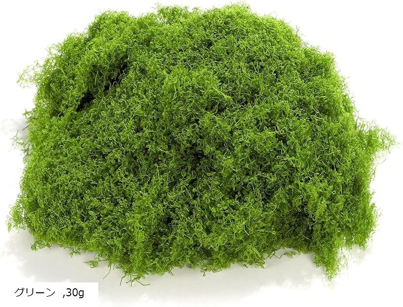 楽天市場】苔 コケ モス フェイクグリーン 観葉植物 盆栽 ジオラマ