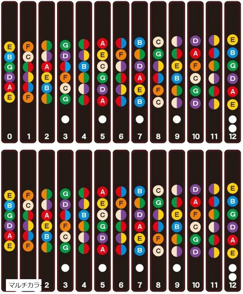 楽天市場】XPデザイン ギター 指板 練習 フレット シール ステッカー スケール ギターコード ギター指板シール(マルチカラー) : OHstore