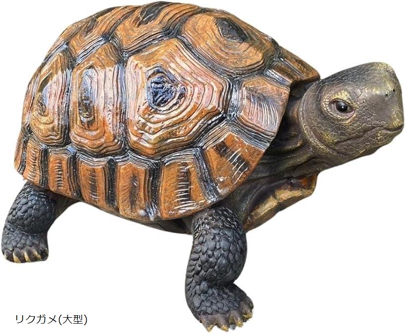 楽天市場】FRPアニマルオブジェ ガラパゴスの陸亀 Galapagos Tortoise