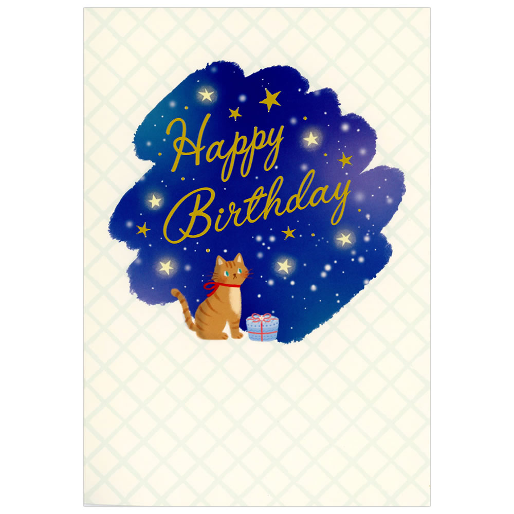 楽天市場】バースデーカード 絵本カード ねこ EAP-753-580 ホールマーク 絵本に込めるメッセージ Birthday Card お誕生お祝い  : 芦屋の文房具店 あしや堀萬昭堂