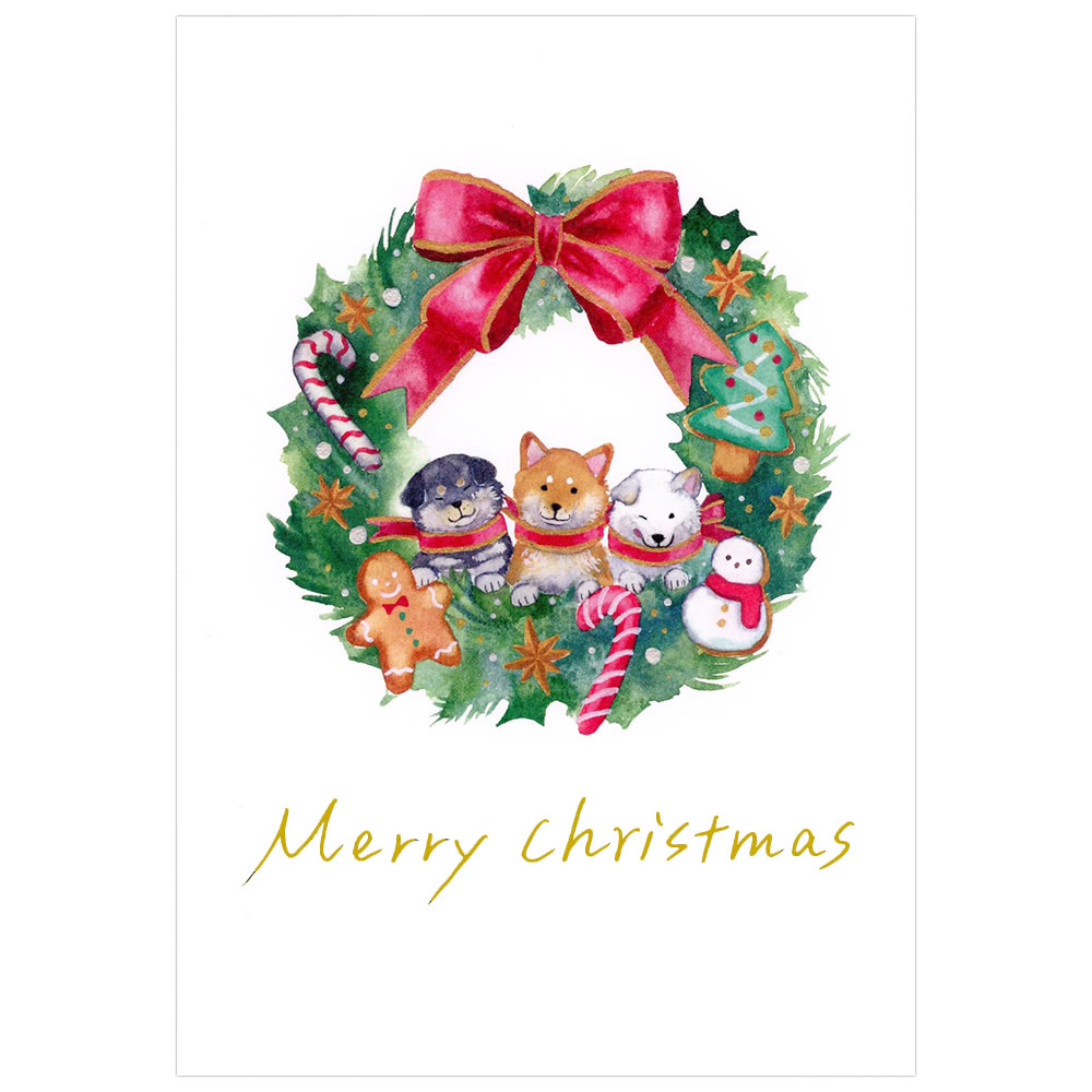 『クリスマス間近セール』クリスマス☆仲良しシマナガエset クリスマス間近セール』クリスマス☆仲良しシマナガエset