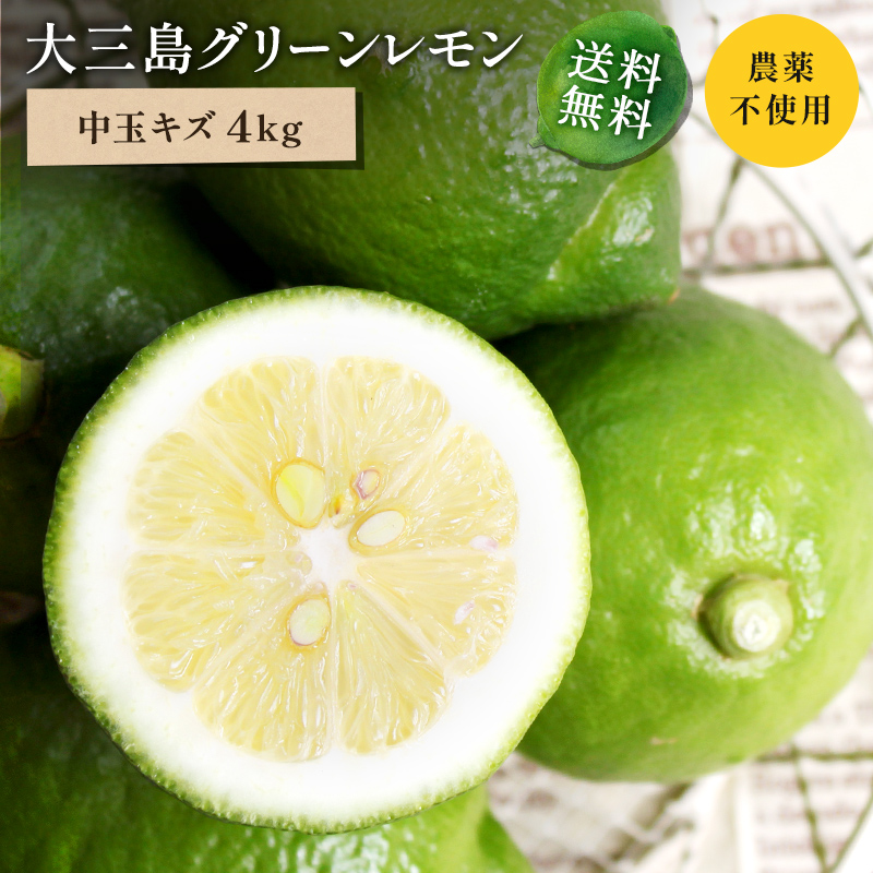 愛媛県産エコレモン家庭用10キロ国産レモン