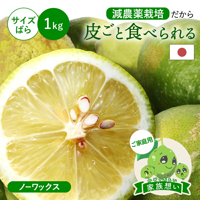 楽天市場】皮ごと食べられる 国産グリーンレモン(減農薬栽培) 家族想い