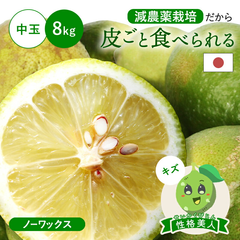 楽天市場】【最大800円OFFクーポン☆12/4 20:00〜12/11 1:59】【訳訳