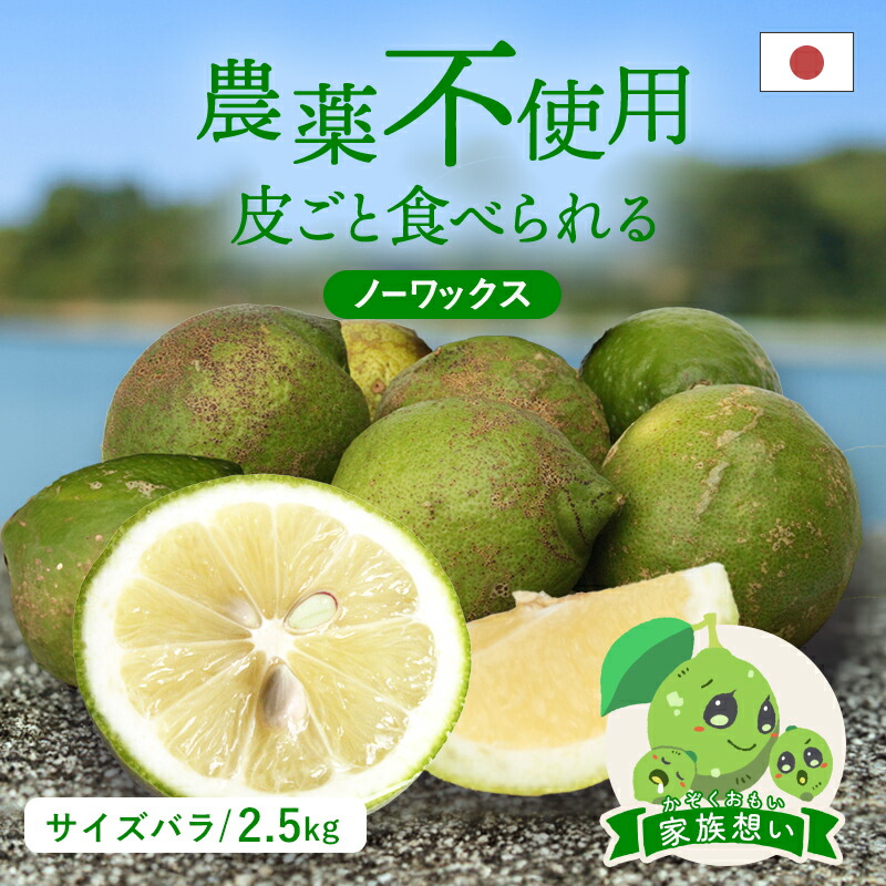 レモンミントさま。。特大の山採りアオダモ。 レモンミントさま。。特大の山採りアオダモ。