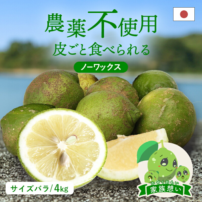 農薬不使用の国産レモン 10kg箱【夏木成りレモン！愛媛の農家直送】0711や 農薬不使用の国産レモン 10kg箱【夏木成りレモン！愛媛の農家