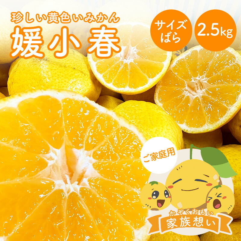 ミエイ様専用【愛媛県産】媛小春 家庭用 15kg 【公式通販】