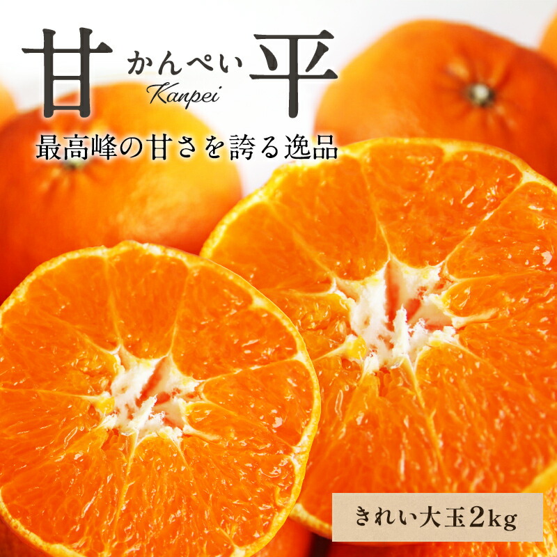 みかんページ 楽天市場】【早割10%OFF☆2026年3月上旬以降発送予定】送料無料 甘平