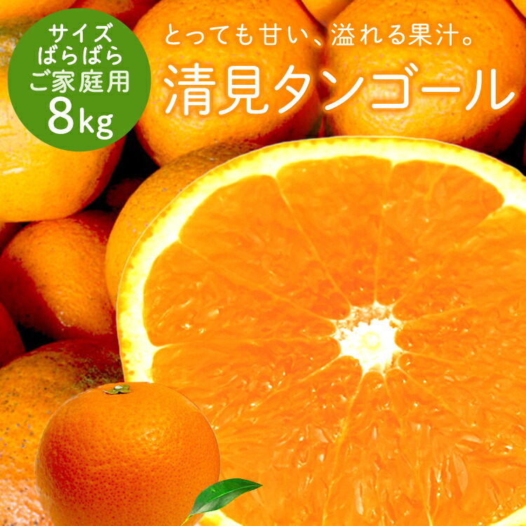 冷蔵発送 清見タンゴール 家族想い(家庭用) サイズばら 8kg 送料無料 ◆ 愛媛県 大三島 お取り寄せ 国産 みかん 蜜柑 柑橘 愛媛みかん 果物 フルーツ 訳あり わけあり グルメ 父の日