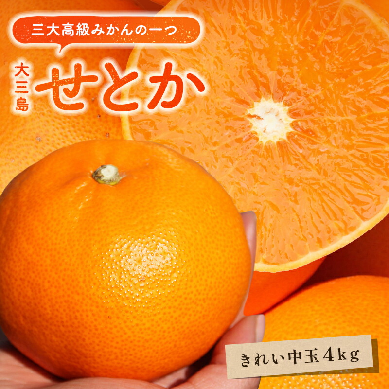 送料無料 せとか 大和撫子(キレイ) 中玉 4kg ◆ 愛媛県 大三島 お取り寄せ 国産 みかん 愛媛みかん 果物 フルーツ 供物 ギフト 贈答用 プレゼント 贈り物 グルメ 入学祝い