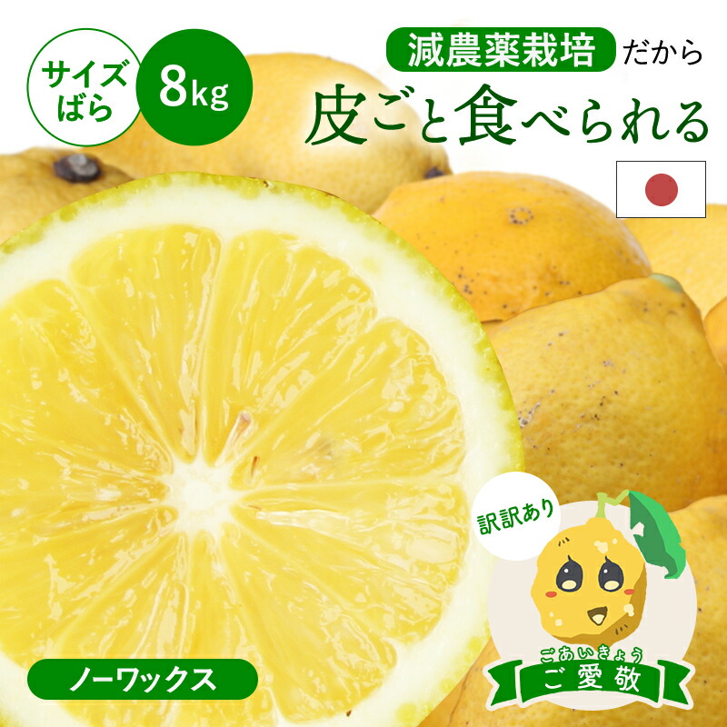 冷蔵発送 皮ごと食べられる 国産レモン(減農薬栽培) 搾汁用 ご愛嬌(訳訳あり) サイズばら 8kg ◆ ノーワックス・防腐剤不使用 愛媛県 大三島 お取り寄せ 国産 レモン 愛媛レモン 果物 フルーツ 訳あり わけあり グルメ 父の日