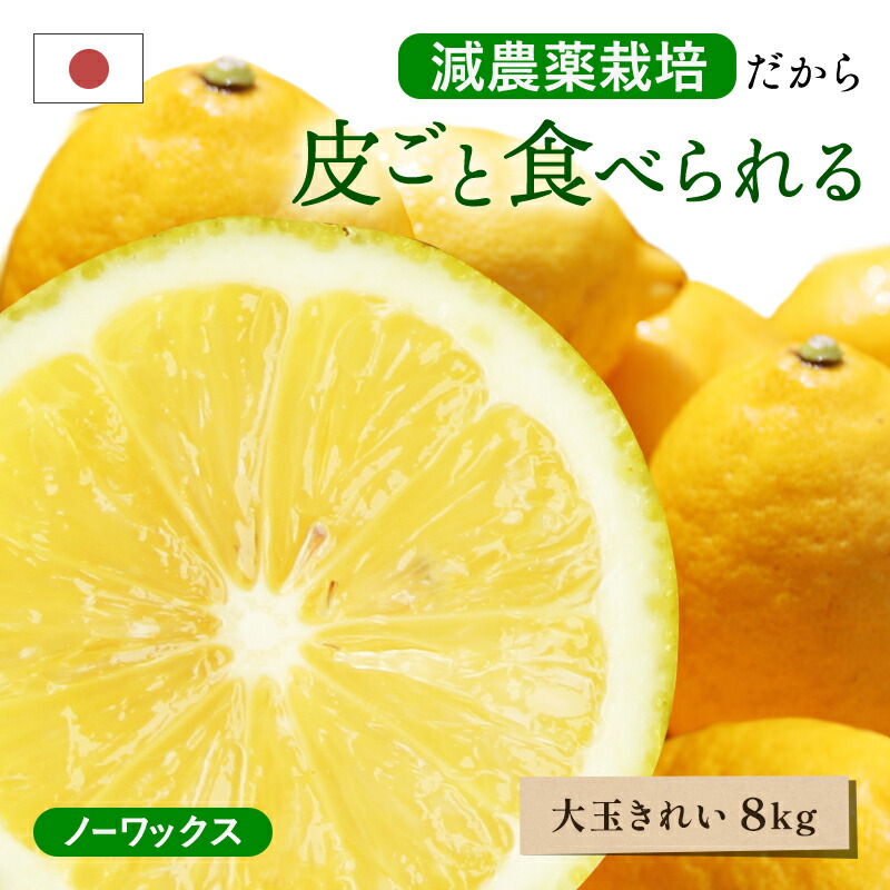 【最大800円OFFクーポン★5/23 20:00～5/27 1:59】冷蔵発送 皮ごと食べられる 国産レモン(減農薬栽培) 大和撫子(きれい) 大玉 8kg ◆ ノーワックス・防腐剤不使用 愛媛県 大三島 お取り寄せ 国産 レモン 愛媛レモン 果物 フルーツ 訳あり わけあり グルメ 父の日