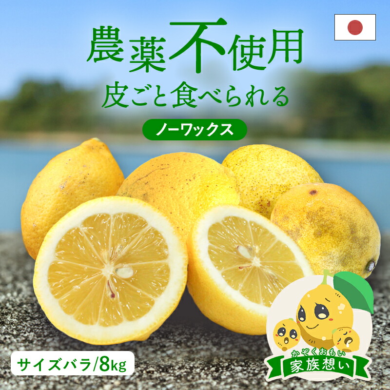 冷蔵発送 送料無料 国産レモン(農薬不使用) 家族想い(家庭用) サイズばら 8kg ◆ 愛媛県 大三島 お取り寄せ 国産 みかん 蜜柑 柑橘 果物 フルーツ 訳あり わけあり グルメ 父の日