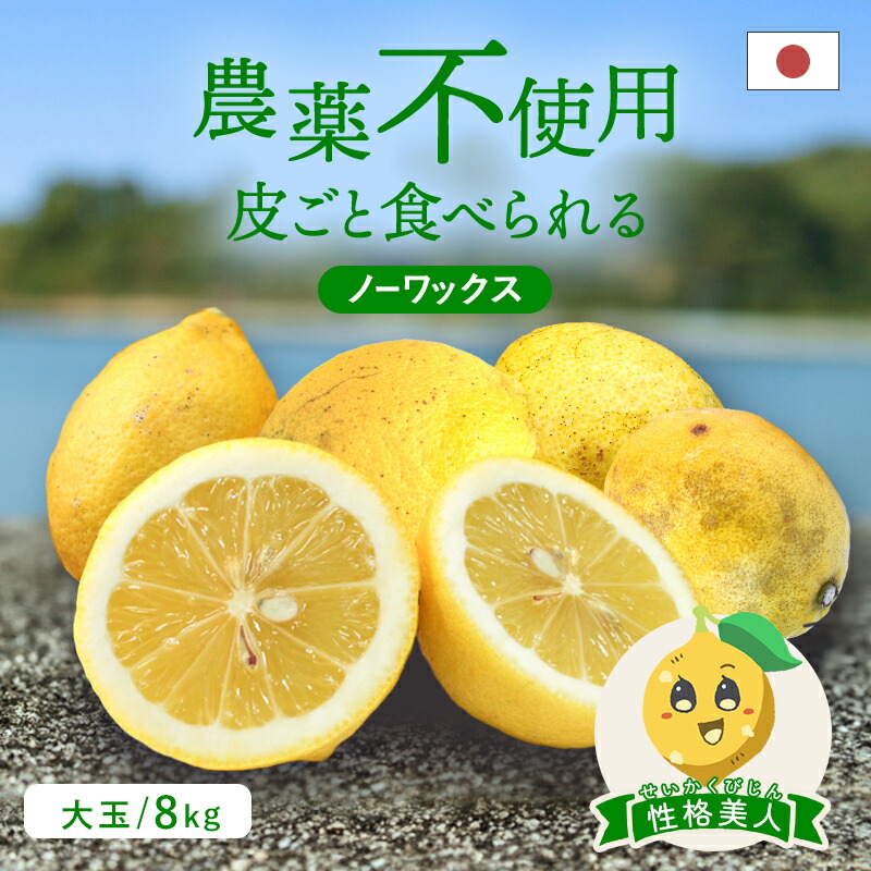 冷蔵発送 送料無料 国産レモン(農薬不使用) 性格美人(キズ) 大玉 8kg ◆ 愛媛県 大三島 お取り寄せ 国産 みかん 蜜柑 柑橘 愛媛みかん 果物 フルーツ 訳あり わけありグルメ 父の日