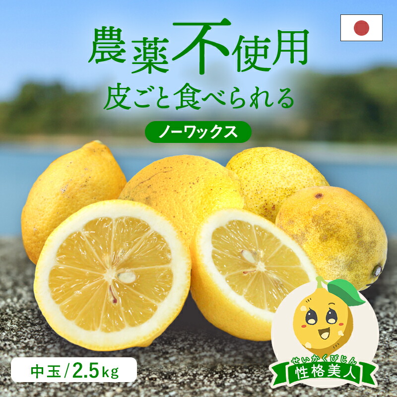65.国産瀬戸内レモン　農薬不使用　40〜45個 農薬不使用 レモン 健ちゃんファームの瀬戸内産 夏レモン 広島県