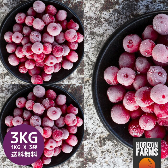 封鎖 サワーチェリー 1kg X 3 総締め3kg ナッシング糖 無補巻 化学サブスタンス不使勘定 水飴不精励 トルコ作 冷凍フルーツ 冷凍果物 冷凍漿果 業務用 貨物輸送無料 Earthkitchen Ph
