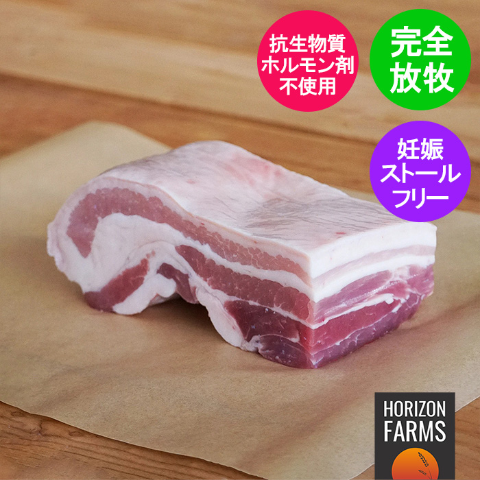 数量限定アウトレット最安価格 ホルモン剤不使用 抗生物質不使用 遺伝子組換え飼料不使用 冷凍 放牧豚 ブロック 500g 皮付き 豚バラ