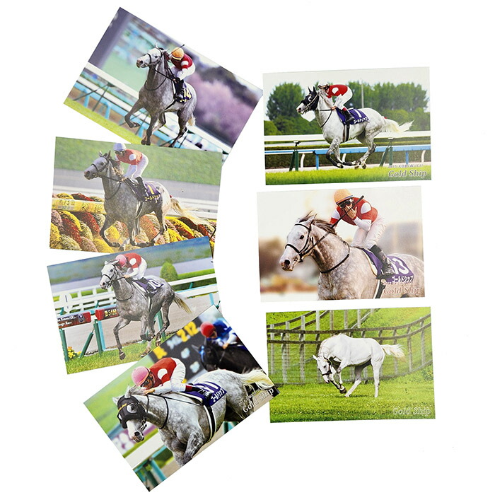 楽天市場】ゴールドシップ号クリアファイル7枚セット【○ レース