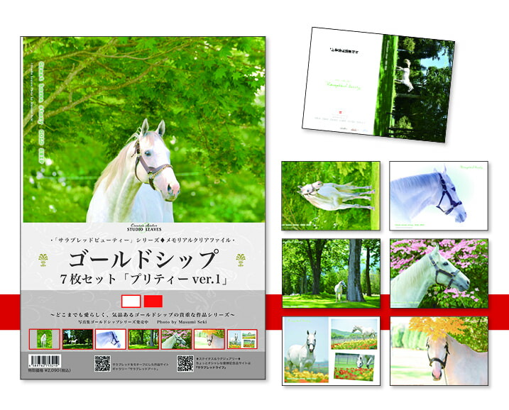 ゴールドシップ JRA ポスター 6枚セット