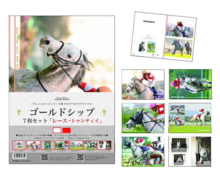 楽天市場】ゴールドシップ号ポストカード7枚組レース2012皐月賞