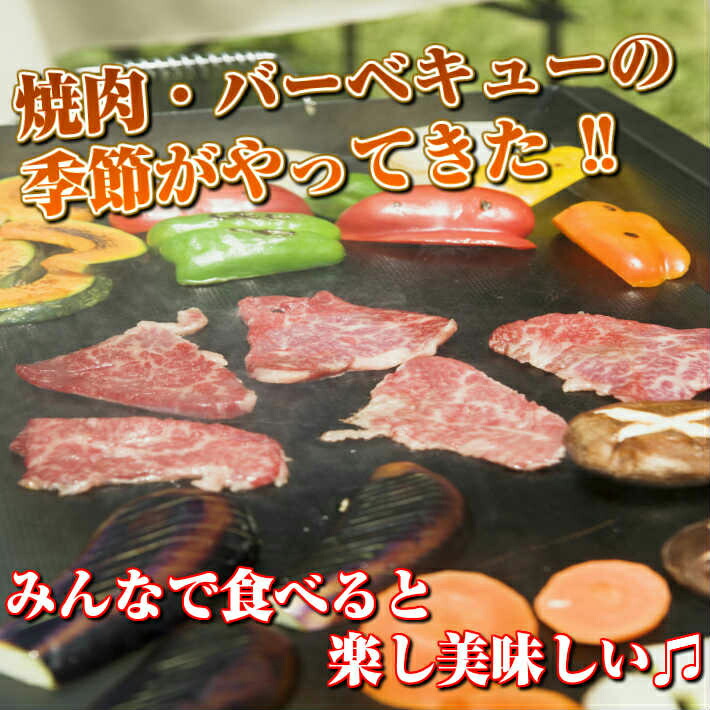 国産牛並ミノ250g