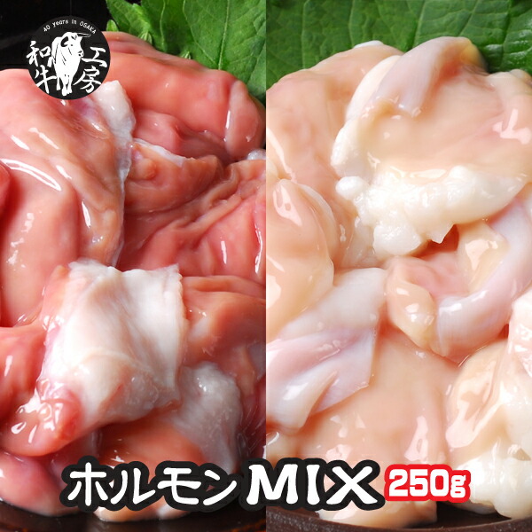 肉 ホルモン 鍋 九州産黒毛 和牛ホルモン MIX 250g 小腸 赤センマイ 味付けなし画像