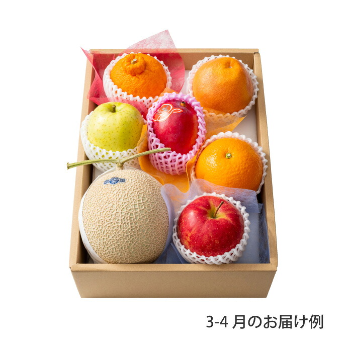 ホシフルーツ おまかせ旬のフルーツＢＯＸ Ｅ【送料無料】 ＜メッセージカード・熨斗無料！ プレゼント ギフト お取り寄せ 果物セット 贈答用 ご挨拶 お返し お祝い お見舞い 季節のフルーツをお届け 目利きが厳選 詰合せギフト＞