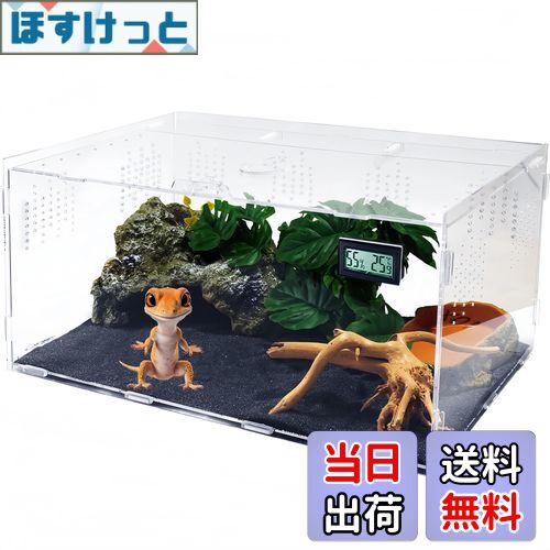 楽天市場】【送料無料】Reptile Growth 爬虫類 ケージ 透明
