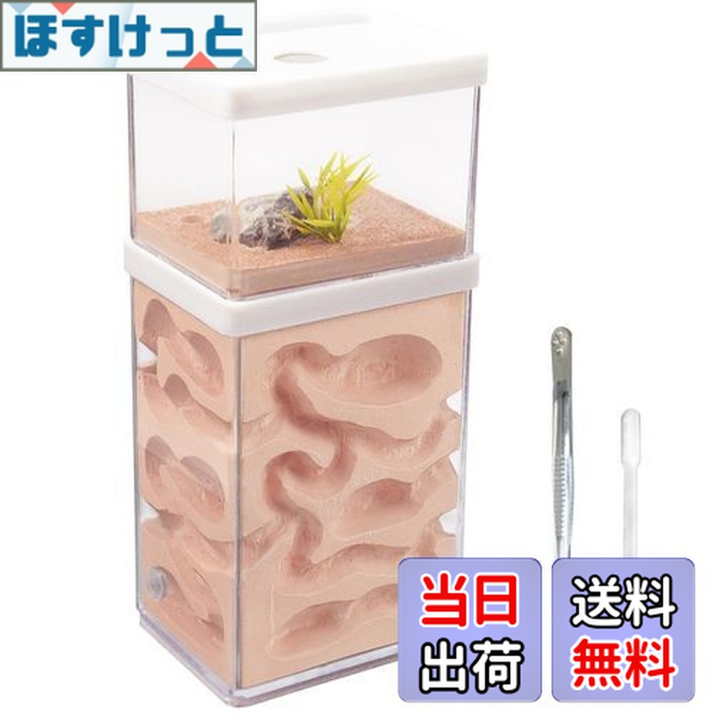 楽天市場】aleawolアリの巣観察キットアリ飼育箱蟻の巣観察キット蟻