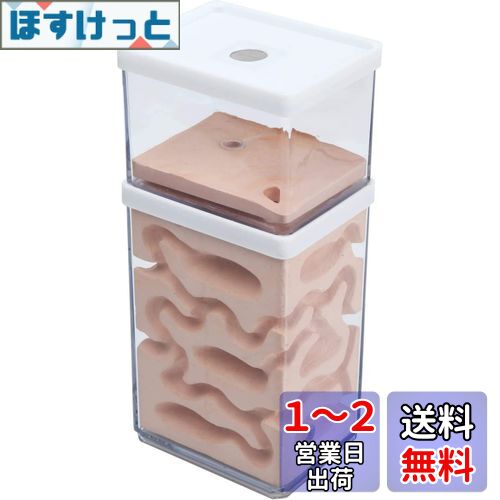 aleawol アリの巣観察キット アリ飼育箱 蟻の巣観察キット 蟻 飼育 石膏製巣箱 2層式 透明なプラスチックアリの巣 アリ飼育キット 昆虫 自由研究 生物実験 科学実験 観察日記 自然 生物 教育玩具用 (蟻なし)