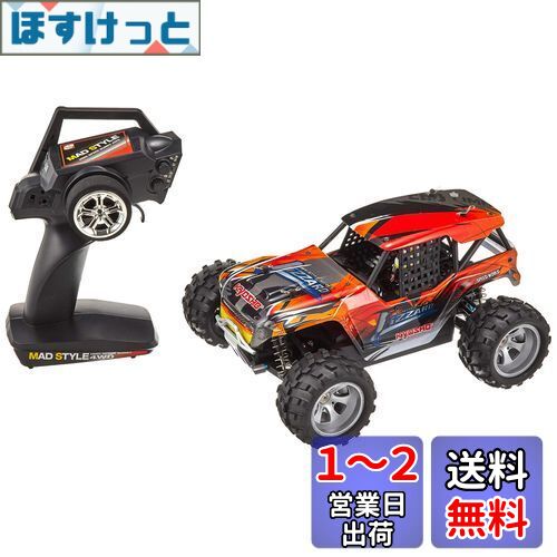 RC1/16スケール マッドスタイルシリーズ リザード