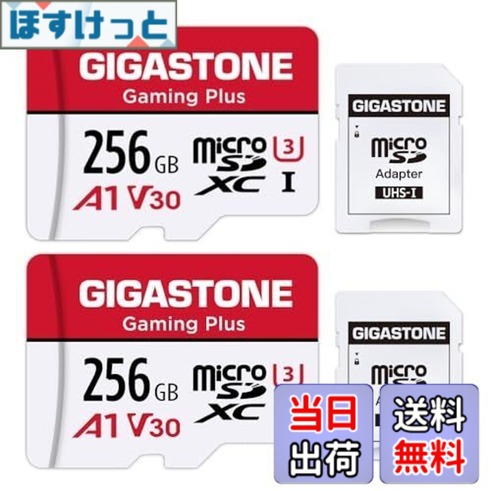 【送料無料】GIGASTONE マイクロSDカード 256GB 2個セット, 2 SDアダプタ付き, 2 ミニ収納ケース付き, 4K UHD動画 100MB/S 高速 MicroSDXC, UHS-I A1 V30 U1 Class 10｜ほすけっと店