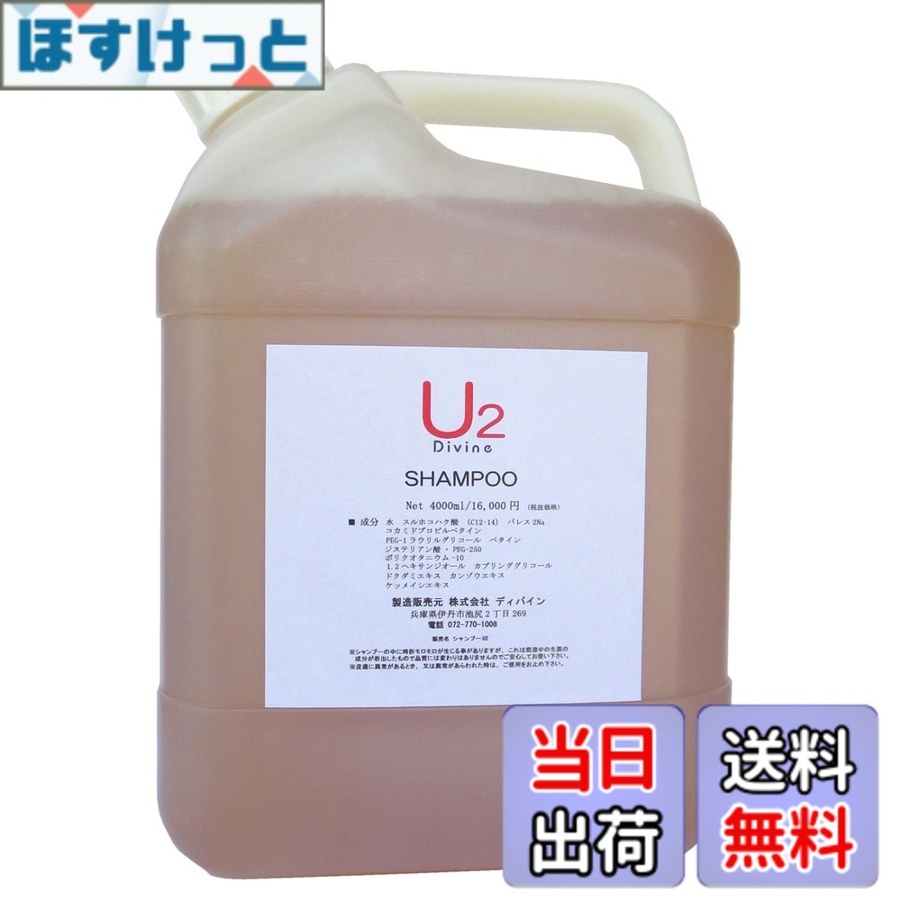 【送料無料】Divine ディバイン シャンプー【U2】 (4000ml)