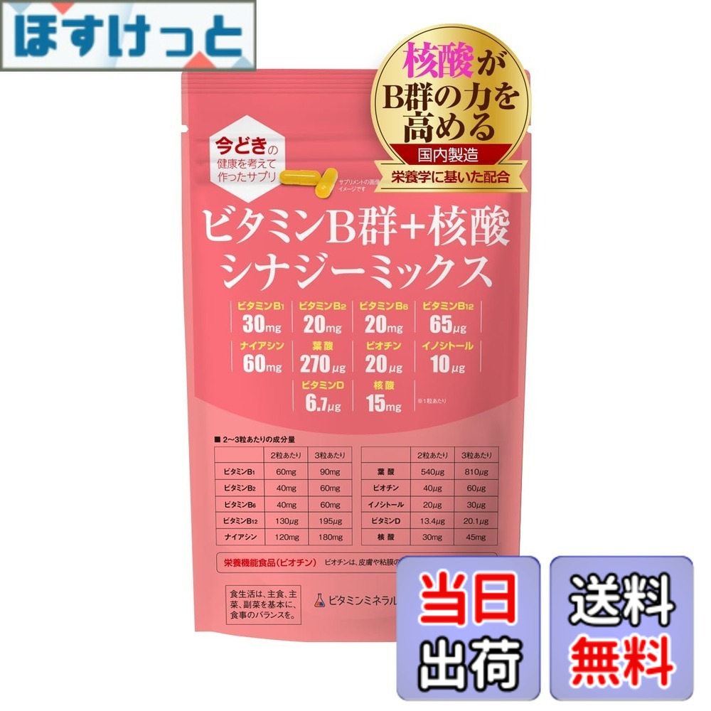 【送料無料】ビタミンB群+核酸 シナジーミックス サイズ：1袋