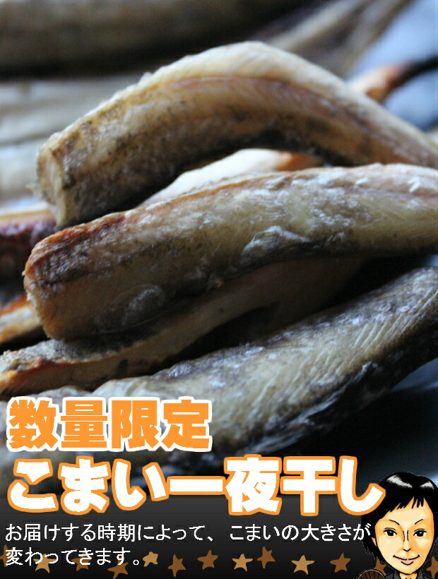 期間限定特別価格 業務用 北海道産 氷下魚 丸干し3kg 生干し こまい newschoolhistories.org