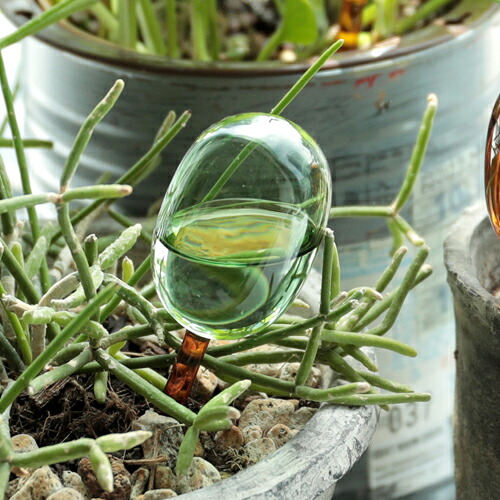 自動給水器 アマブロ amabro TWO TONE WATER DISPENSER S 園芸 鉢植え 観葉植物 水やり 自動 水やり器 水やり機 水差し 60cc ディスペンサー ガーデニング おしゃれ かわいい ガラス製 ツートンカラー 吸水 液体肥料 多肉植物 留守用 室内 小型 便利 ギフト